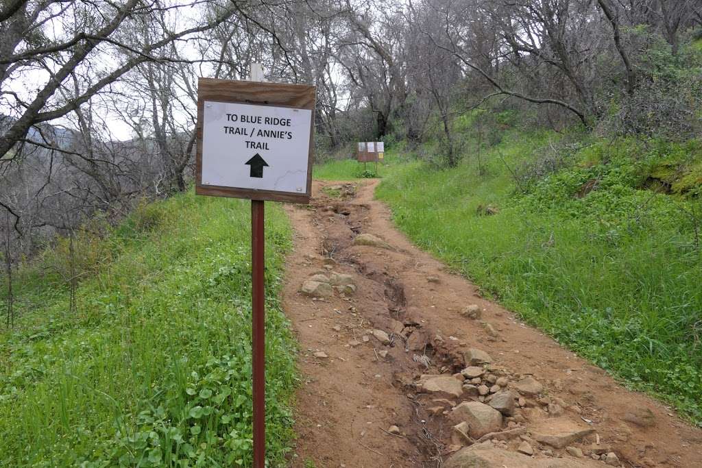 Homestead Trailhead | 22095 CA-128, Winters, CA 95694, USA