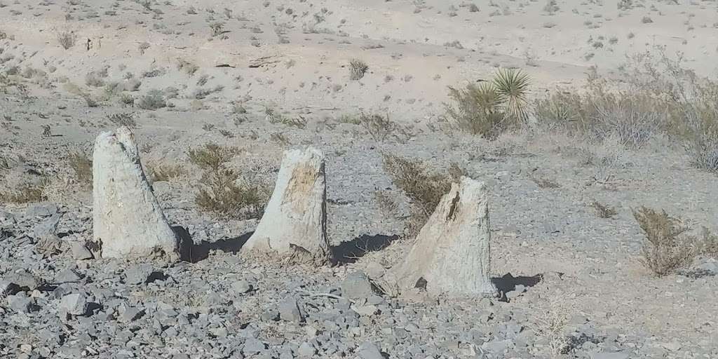 Cliff Shadows Open Desert Park | Las Vegas, NV 89129, USA