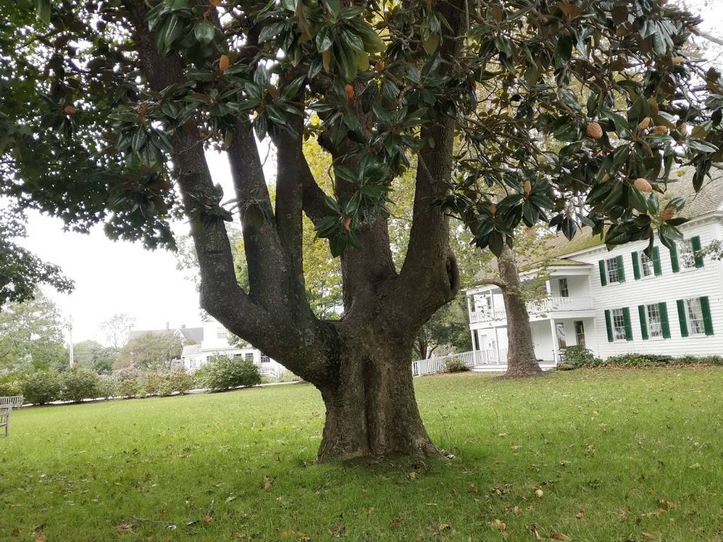 Calvin B. Taylor House | 208 N Main St, Berlin, MD 21811, USA | Phone: (410) 641-1019