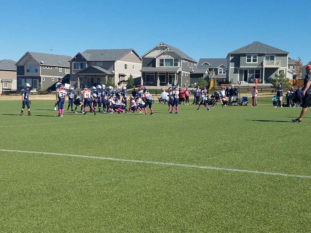 Bison Park | 1390 Clear Sky Way, Castle Rock, CO 80109, USA | Phone: (303) 814-7444