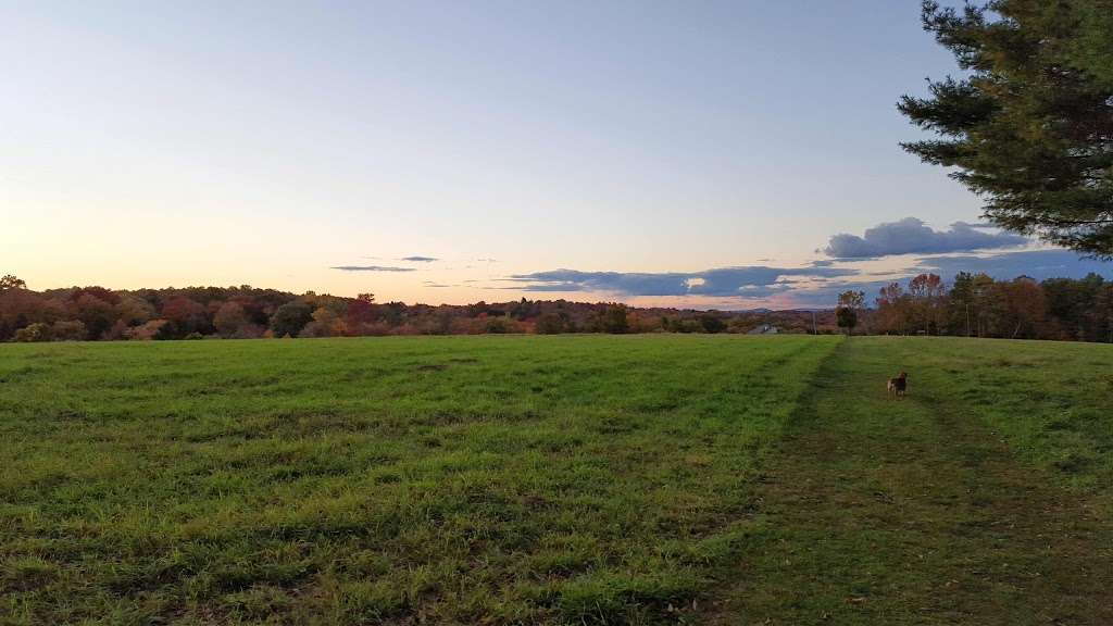 Burr Farm Protected Open Space | 23 Dingle Brook Rd, Brookfield, CT 06804, USA | Phone: (203) 775-7316