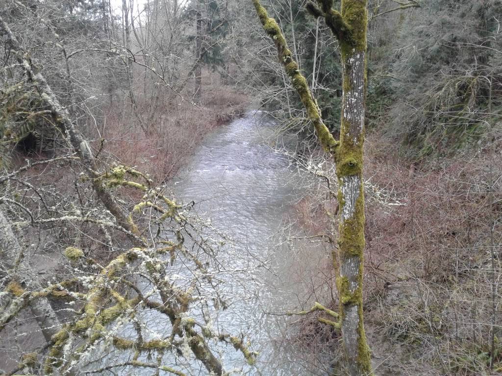 Springwater Corridor Trail | Springwater Corridor Trail, Portland, OR 97236, USA | Phone: (503) 661-3000