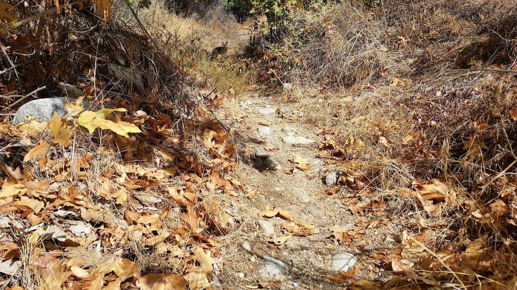 Eaton Canyon Trail Head | 1999 Veranada Ave, Pasadena, CA 91107, USA | Phone: (626) 398-5420