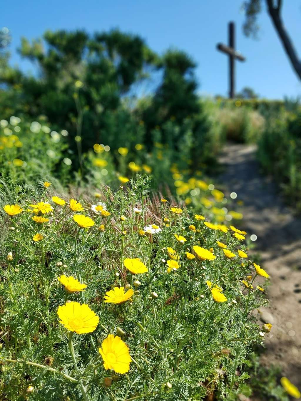 Ventura Botanical Gardens, Inc | 567 South Poli St, Ventura, CA 93001, USA | Phone: (805) 232-3113