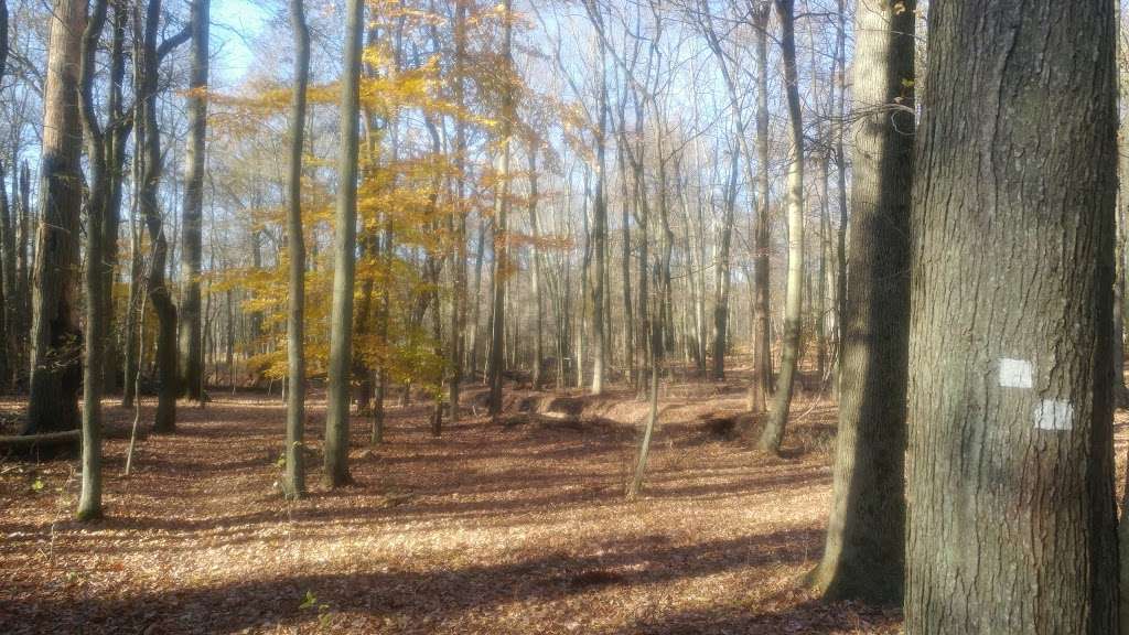 Ash Brook Reservation Hiking Trail | Scotch Plains, NJ 07076, USA