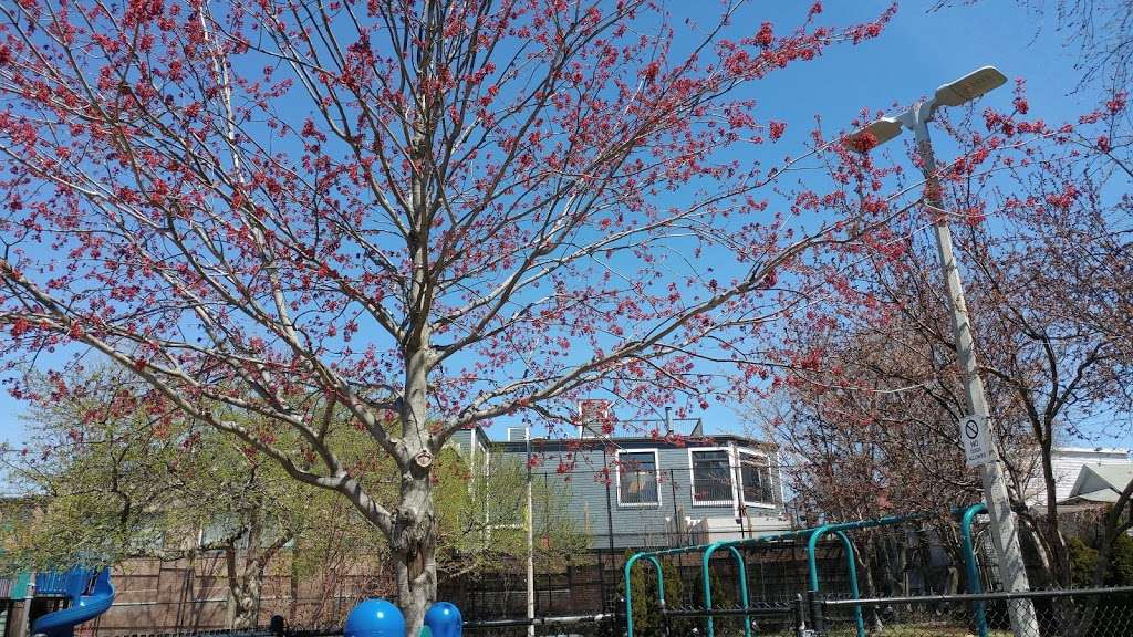 Robert E. Ryan Playground | Boston, MA 02125, USA