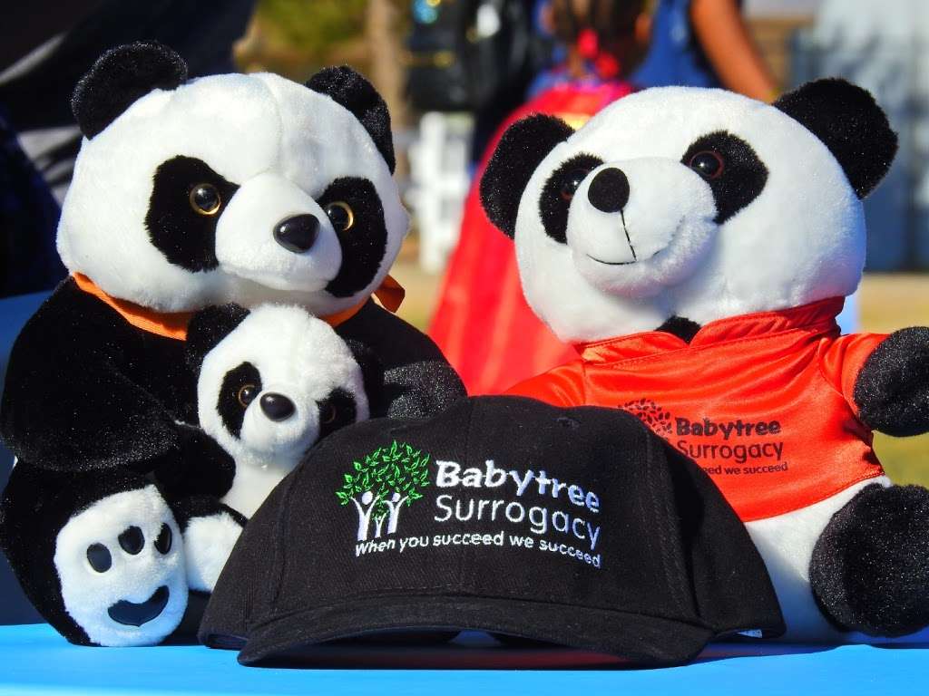 Babytree Surrogacy Apple Valley | 14560 Palmdale Rd, Victorville, CA 92392, USA | Phone: (909) 313-2020