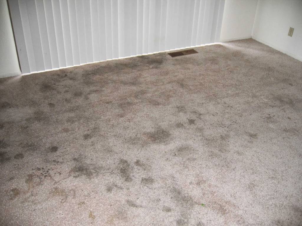 Eminent Carpet Cleaning | 3909 Grand Canyon Ct, Pleasanton, CA 94588, USA | Phone: (925) 570-0833