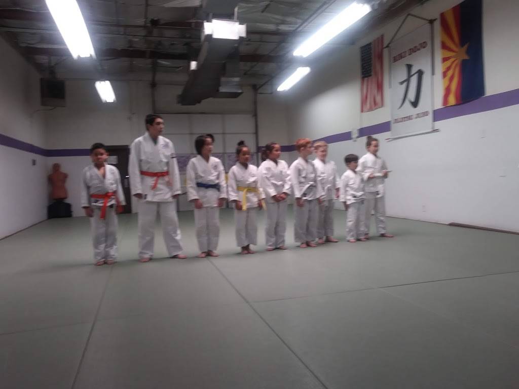 RIKI DOJO USA Japanese Jujitsu and Kodokan Judo | 535 W Iron Ave, Mesa, AZ 85210 | Phone: (480) 294-4746