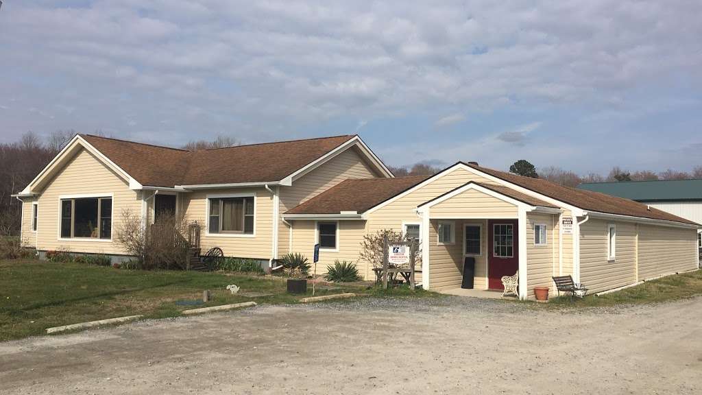 Lonestar Animal Hospital PA | 10211 Sharptown Rd, Mardela Springs, MD 21837, USA | Phone: (410) 749-1442