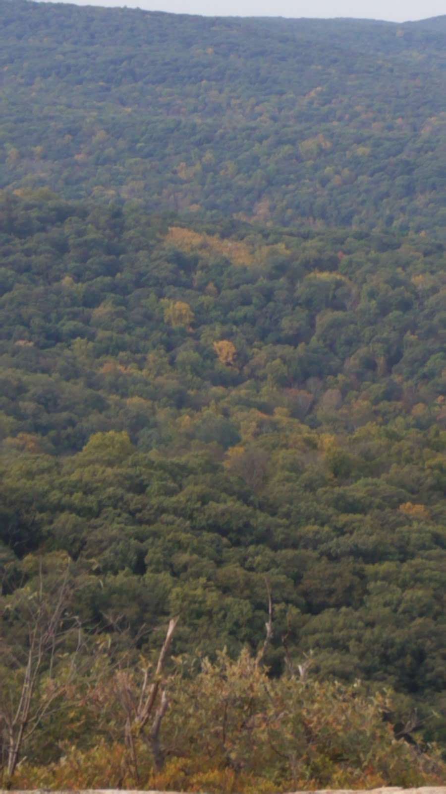 Appalachian Trail | Perkins Memorial Dr, Tomkins Cove, NY 10986, USA