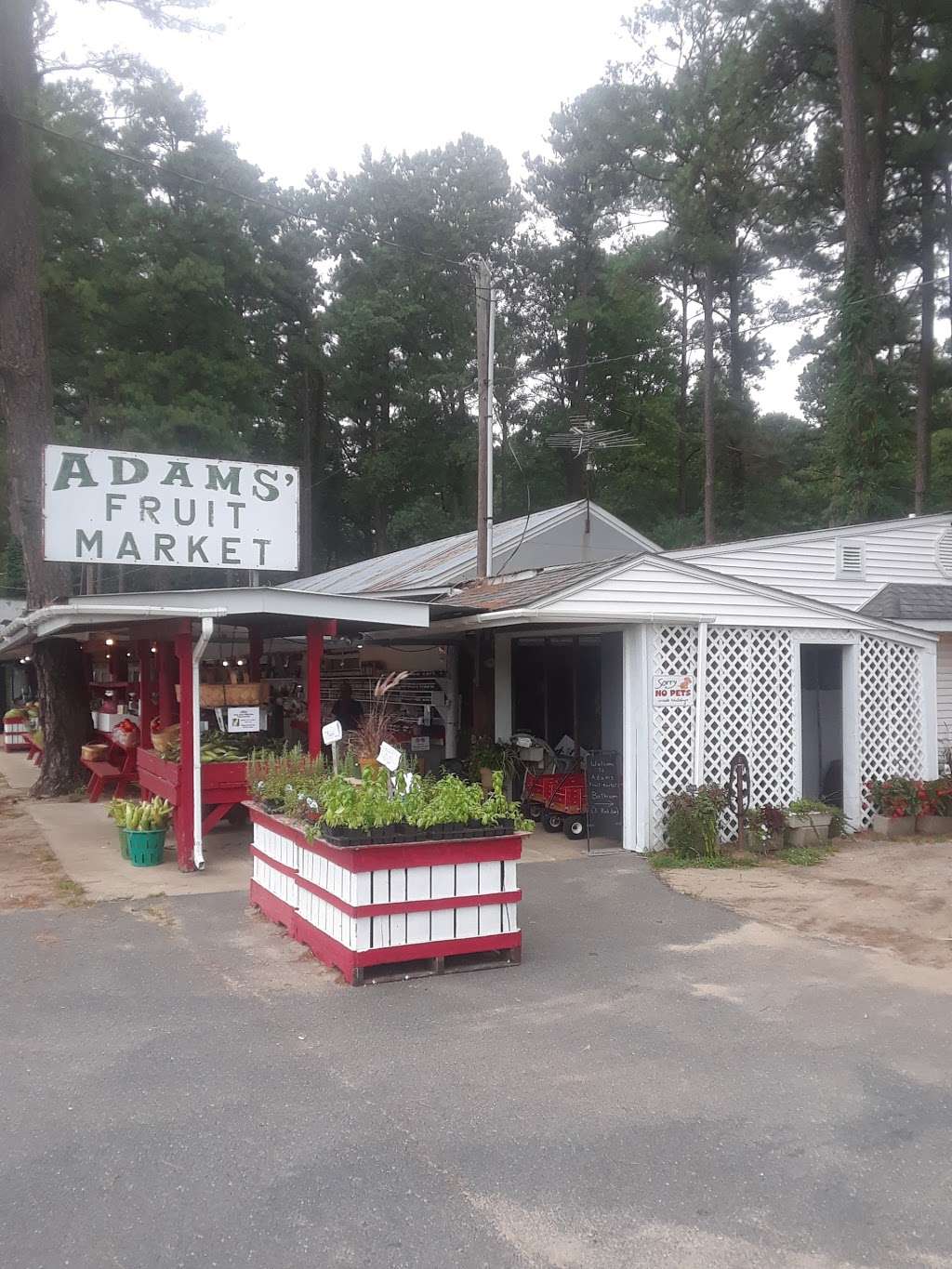 Adams Fruit Market | 2239 Seashore Hwy, Greenwood, DE 19950, USA | Phone: (302) 349-4924