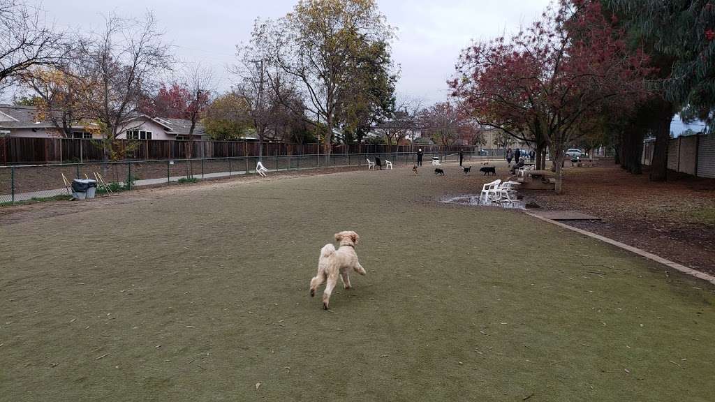 Saratoga Creek Dog Park | 5399 Graves Ave, San Jose, CA 95129, USA