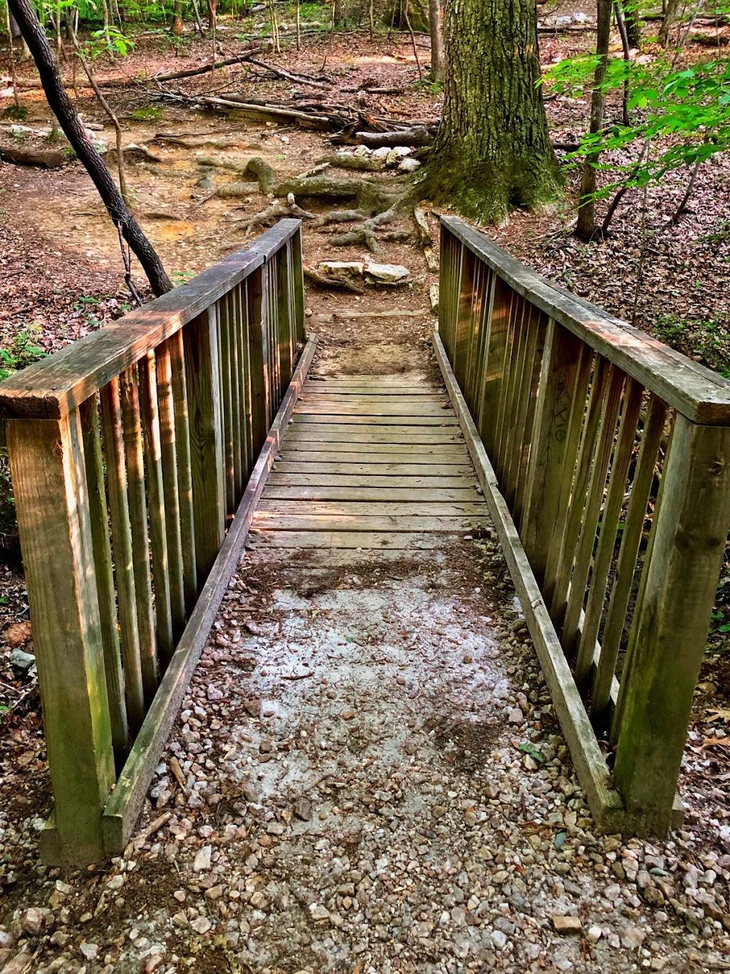 William B. Umstead State Park | 8801 Glenwood Ave, Raleigh, NC 27617 | Phone: (919) 571-4170