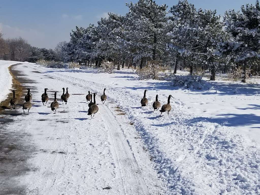 Inspiration Point Park | 4901 Sheridan Boulevard, Denver, CO 80212, USA | Phone: (720) 865-0900