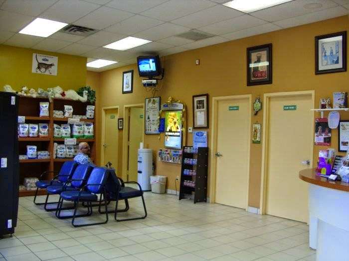 VCA Boca Greens Animal Hospital | 19357 FL-7, Boca Raton, FL 33498 | Phone: (561) 482-6308