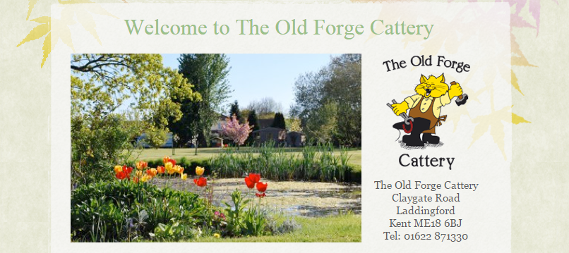 The Old Forge Cattery | Claygate Rd, Maidstone ME18 6BJ, UK | Phone: 01622 871330