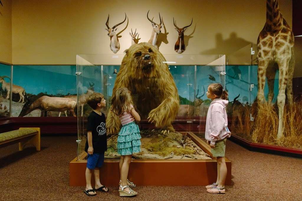 Museum of York County | 4621 Mt Gallant Rd, Rock Hill, SC 29732, USA | Phone: (803) 329-2121