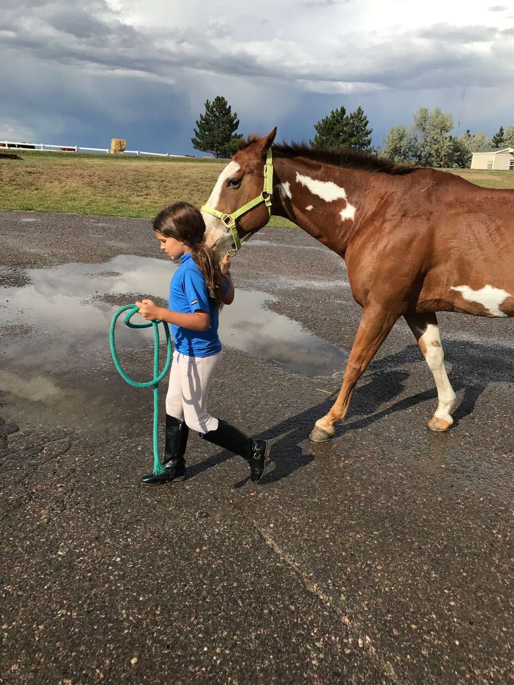 Millbrook Equestrian - Horseback Riding Lessons | 40273 Co Rd 13, Elizabeth, CO 80107 | Phone: (303) 898-3376