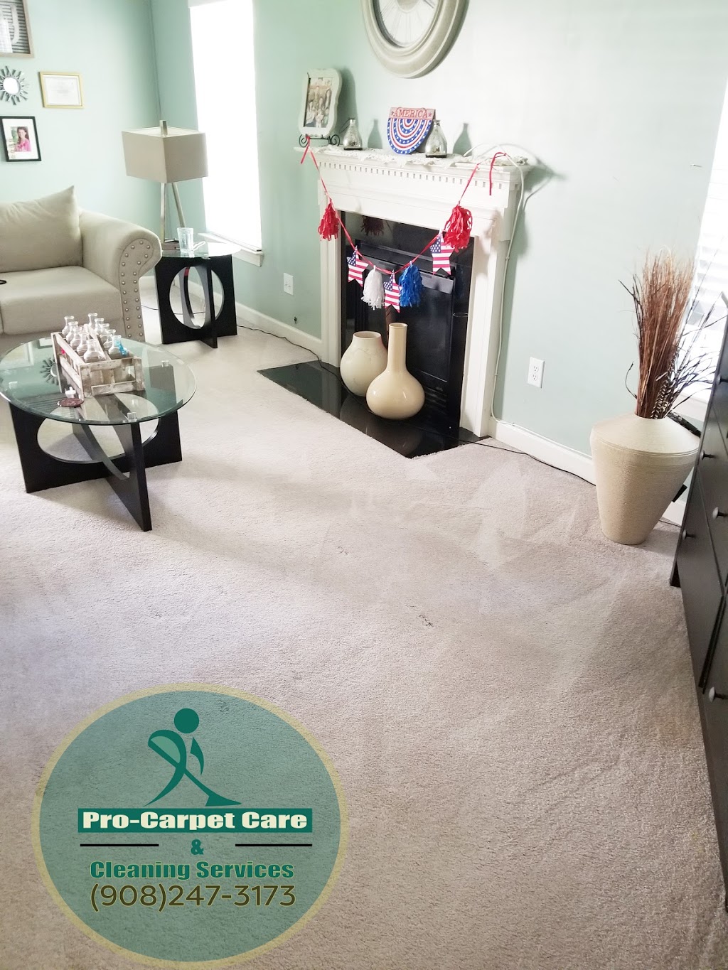 Pro Carpet Care & Cleaning services LLC - New Jersey | 68 Ashwood Ave, Summit, NJ 07901, USA | Phone: (908) 247-3173