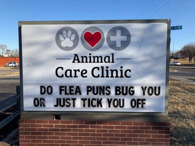 Animal Care Clinic | 255 S 84th St, Lincoln, NE 68510, USA | Phone: (402) 489-9534