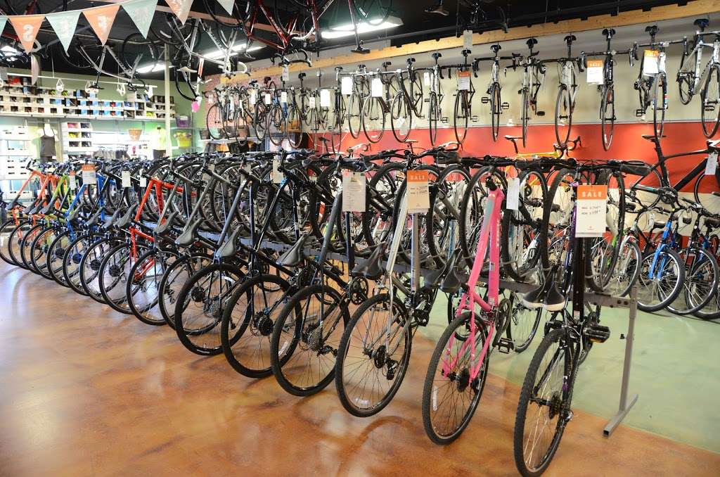 Prairie Path Cycles | 27 W 181 Geneva Rd, Winfield, IL 60190, USA | Phone: (630) 690-9749