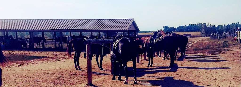 12 Mile Stables | 5547 S Parker Rd, Aurora, CO 80014, USA | Phone: (303) 699-6128