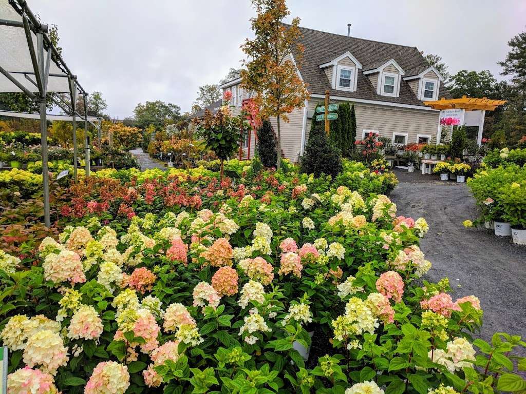 Seoanes Garden Center | 551 Bedford St, Abington, MA 02351, USA | Phone: (781) 878-1306