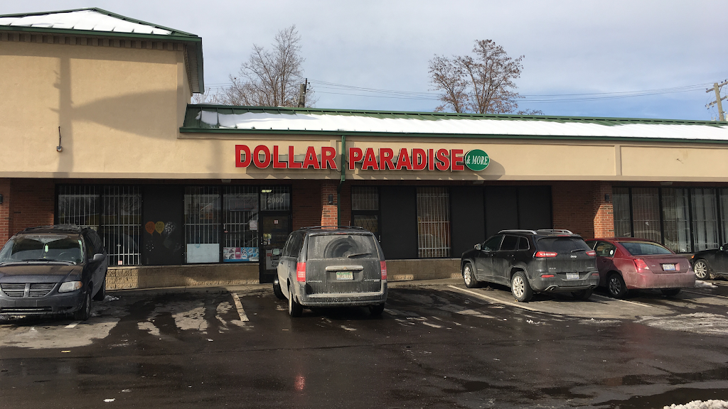 Dollar Paradise & More | 2960 W Davison St, Detroit, MI 48238, USA | Phone: (313) 852-6055