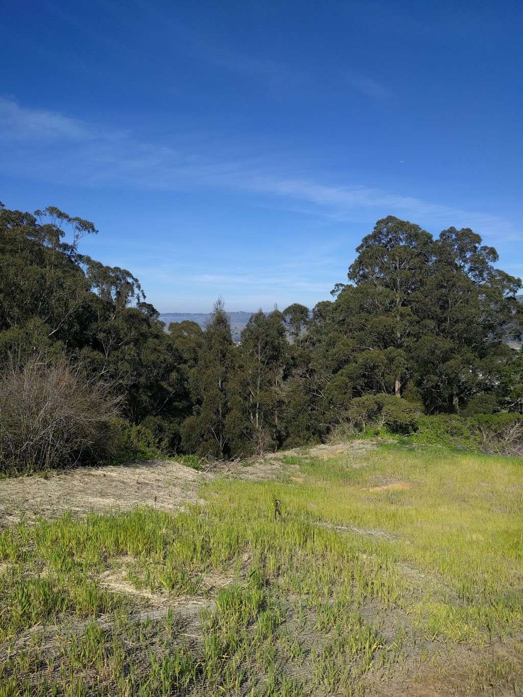 Pedro Point Headlands | Old Pacific Coast Highway Trail, Pacifica, CA 94044, USA | Phone: (650) 270-0433