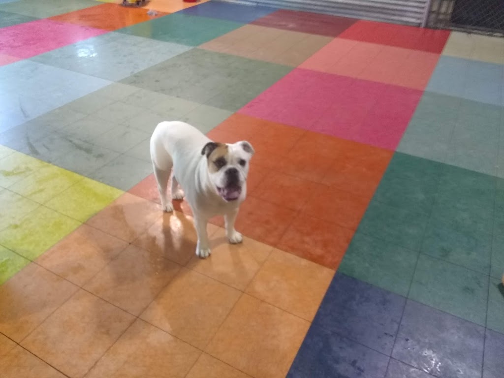 BauserHaus | 2818 Breckenridge Industrial Ct, St. Louis, MO 63144, USA | Phone: (314) 961-3911