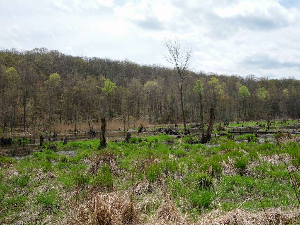 Appalachian Trail | Hewitt, NJ 07421