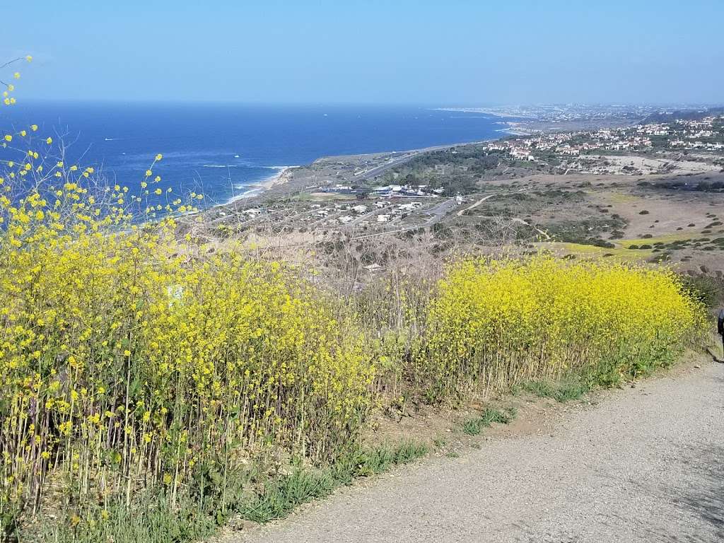 El Moro Canyon Trail hiking | 8471 N Coast Hwy, Laguna Beach, CA 92651, USA