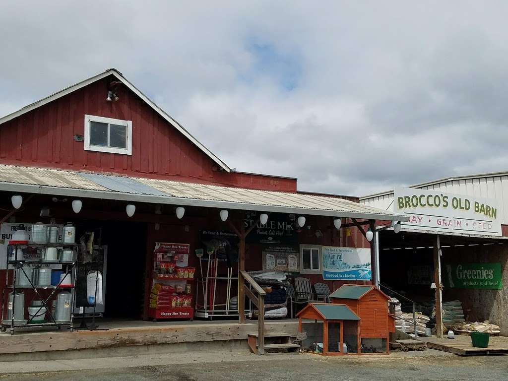 Broccos Old Barn | 19660 Arnold Dr, Sonoma, CA 95476, United States | Phone: (707) 938-2291