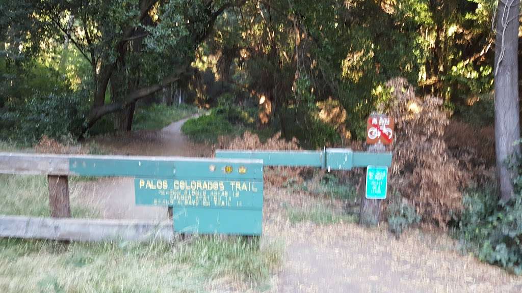 Palos Colorados Trailhead | Joaquin Miller Ct, Oakland, CA 94611