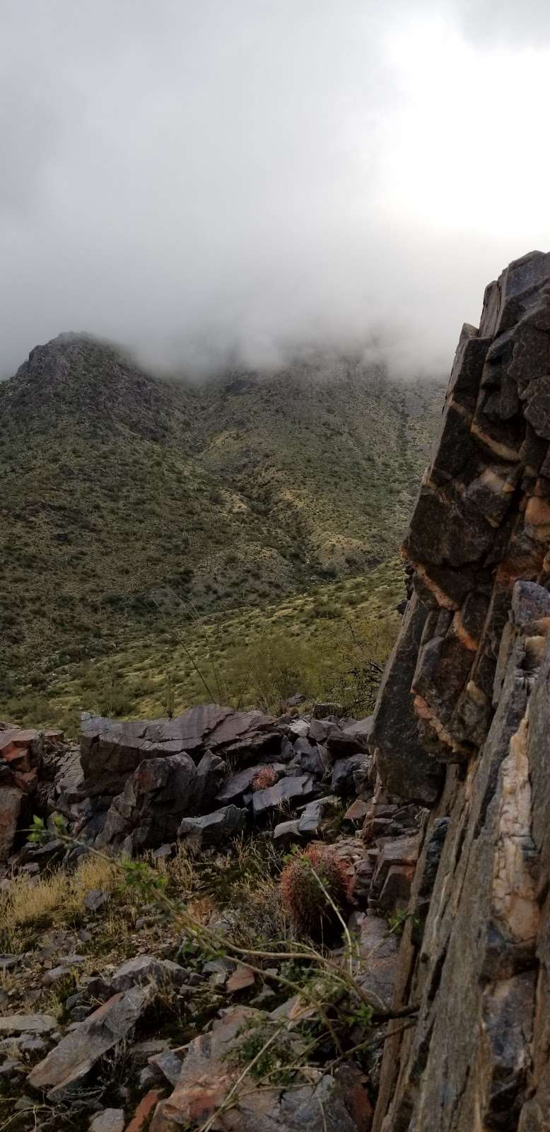 McDowell Sonoran Preserve | Windgate Pass Trail, Scottsdale, AZ 85255, USA