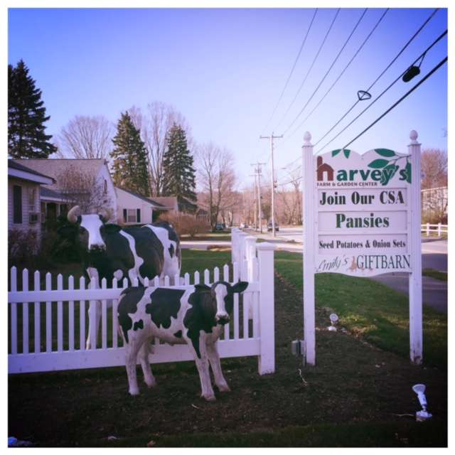 Harveys Farm | 7 Maple Ave, Westborough, MA 01581 | Phone: (508) 366-1545