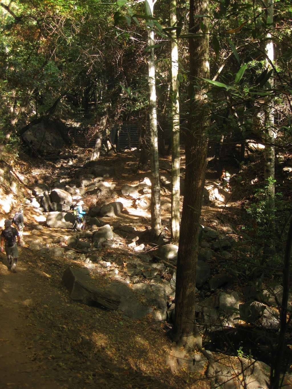 Willson Skyline Trailhead | Mt Wilson Trail, Pasadena, CA 91107, USA