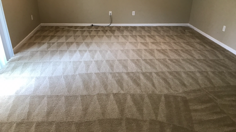 Four Seasons Carpet Cleaners | 504 N Randolph Ave, Cinnaminson, NJ 08077, USA | Phone: (267) 767-4080