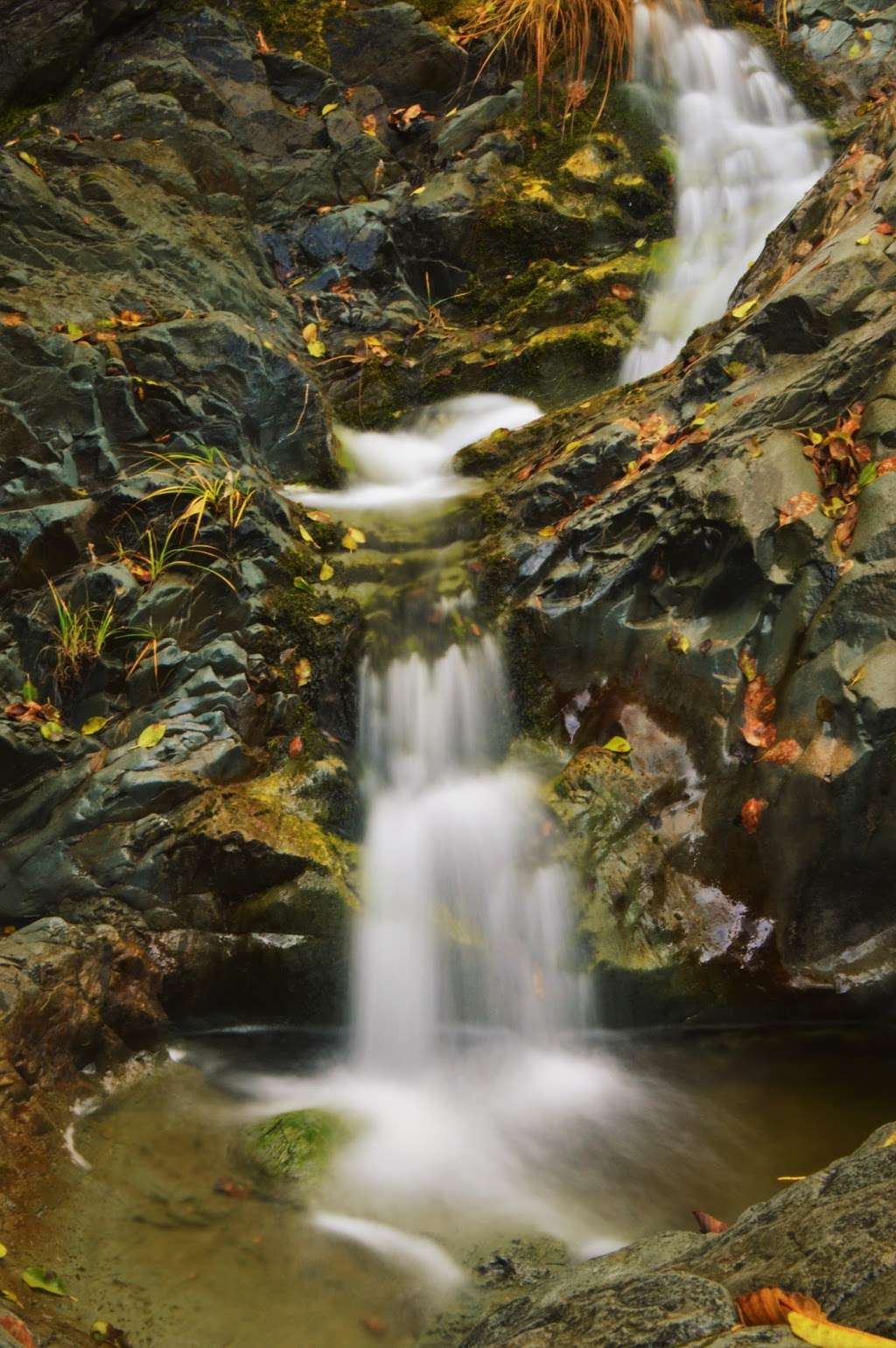 Fir Canyon Falls | St Helena, CA 94574, USA