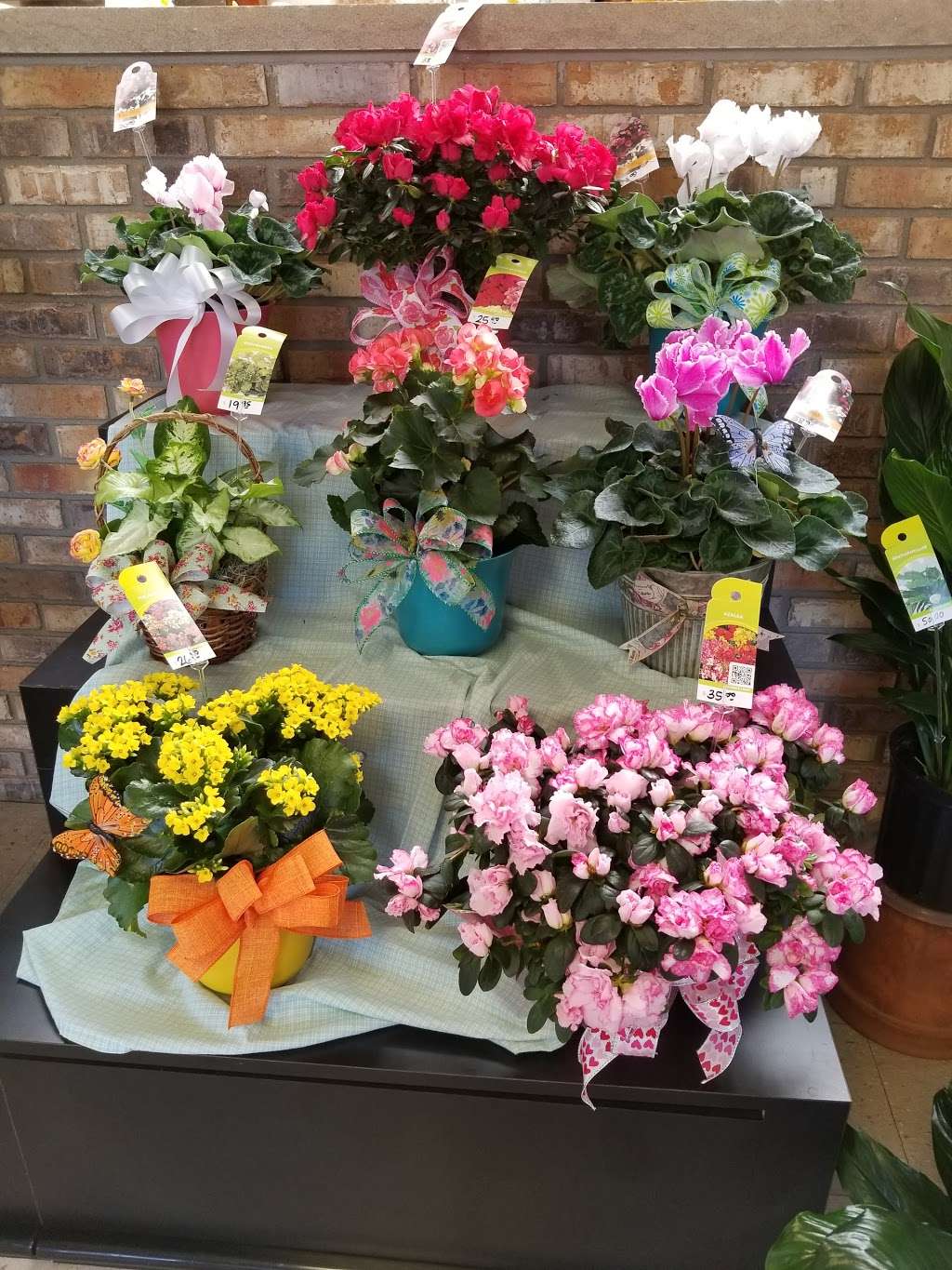 Marengo Greenhouse & Florist, Inc. | 505 W Grant Hwy, Marengo, IL 60152, USA | Phone: (815) 568-6561