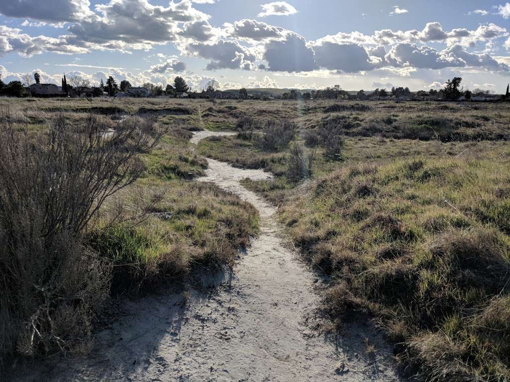 Springtown Wetlands Preserve | Livermore, CA 94551, USA