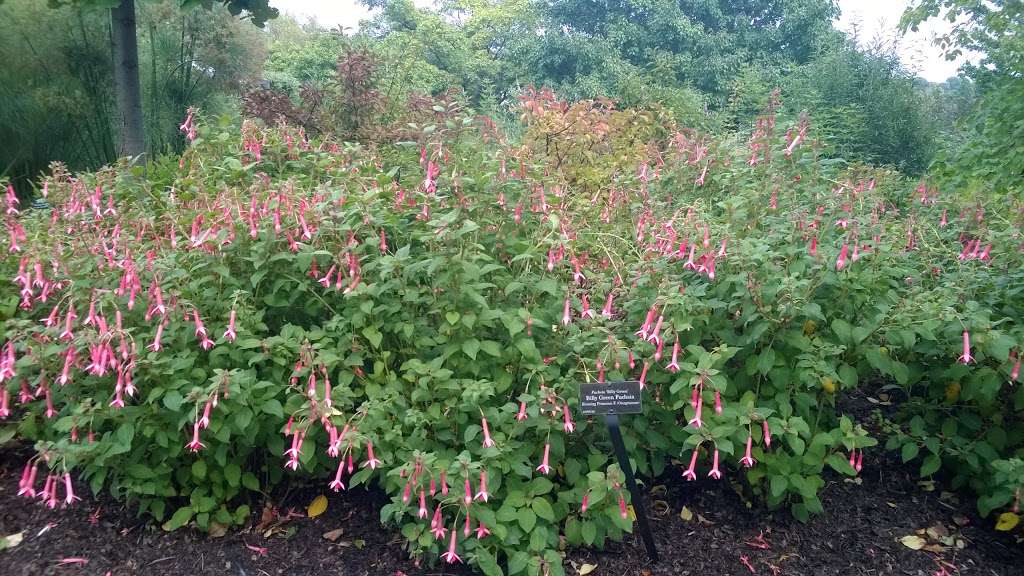 Sensory Garden | Northbrook, IL 60062, USA