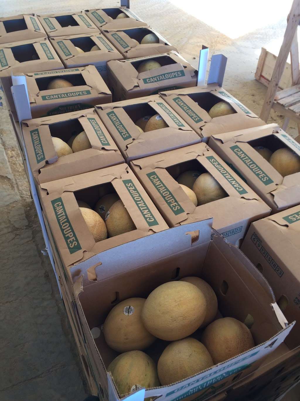 Johnson Produce & Farms - 3044 Hwy 601 N, Pageland, SC 29728 - Hours ...