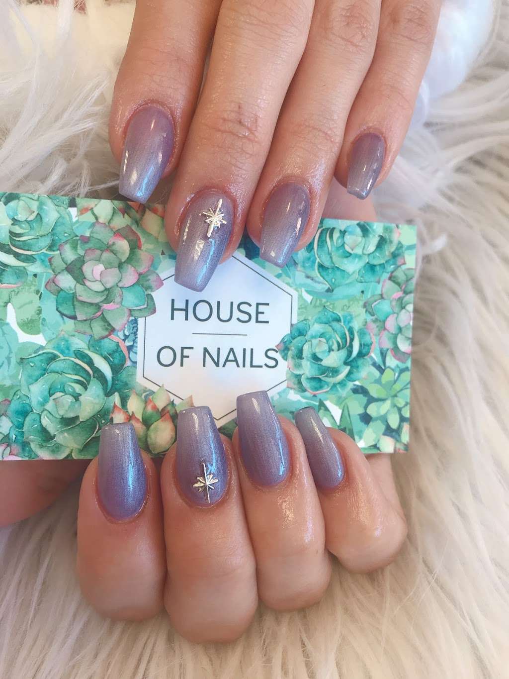 house-of-nails-869-frostwood-dr-houston-tx-77024-usa-businessyab