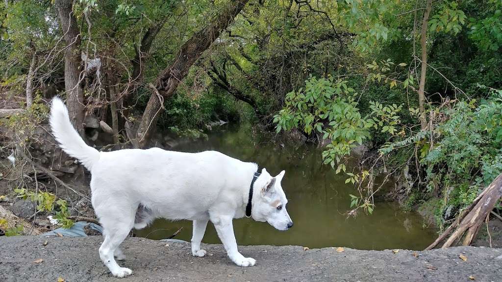 Cottonwood Creek Forest Preserve | Farm Rd, Wilmer, TX 75172, USA