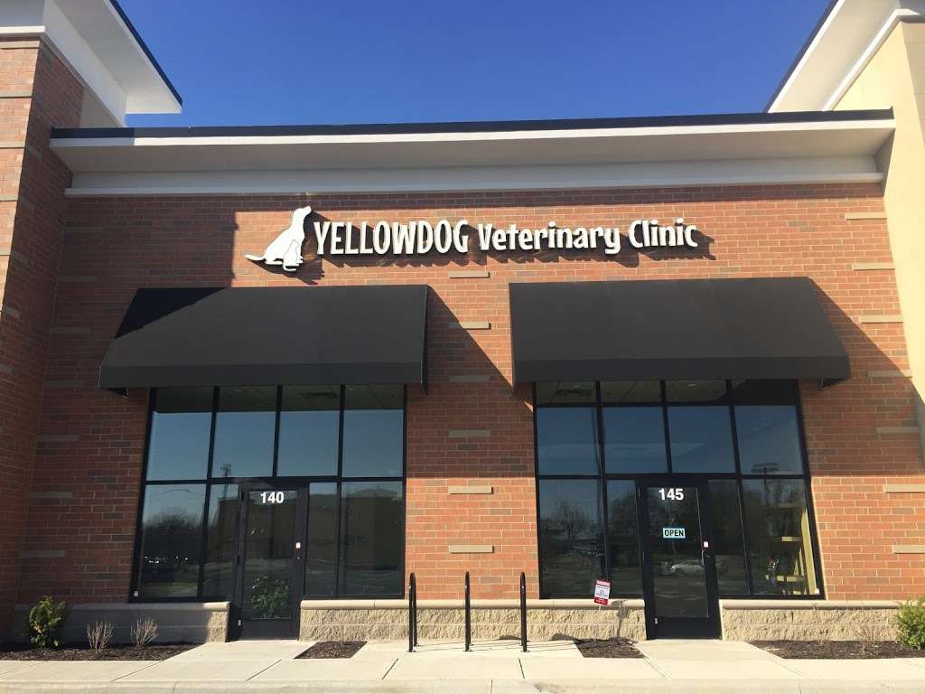 Yellow Dog Veterinary Clinic | 14570 River Rd Ste 140/145, Carmel, IN 46033, USA | Phone: (317) 900-7723