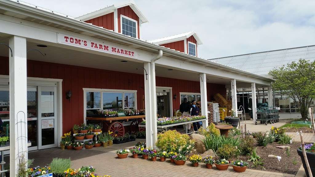 Toms Farm Market | Garden Center | Bakery | Cafe | Gift Shop | 10214 Algonquin Rd, Huntley, IL 60142, USA | Phone: (847) 669-3421