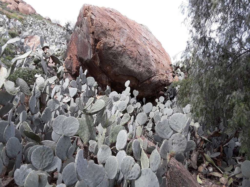 Mount Rubidoux Trailhead | 3901-3999 Mount Rubidoux Dr, Riverside, CA 92501, USA