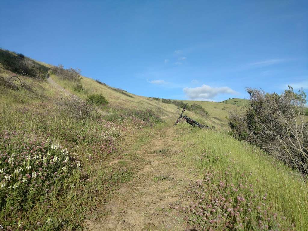 Five Canyons Trail Head | 37°4129.7"N 122°0202.2"W, 22262 Mission Blvd, Hayward, CA 94541, USA